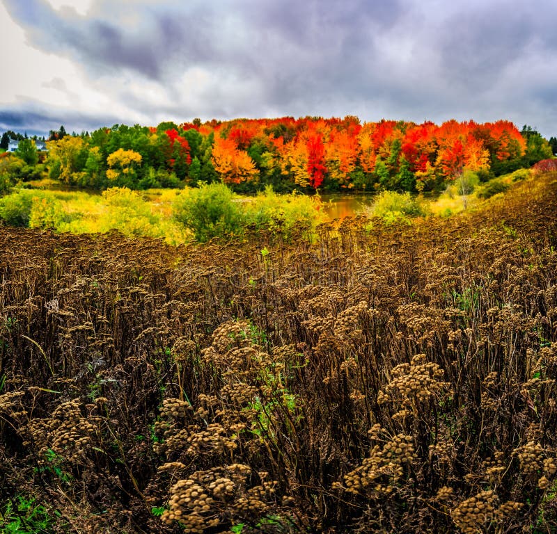 Paesaggio di autunno nel Nuovo Brunswick, Canada fotografia stock Paesaggio di autunno nel Nuovo Brunswick, Canada fotografia stock