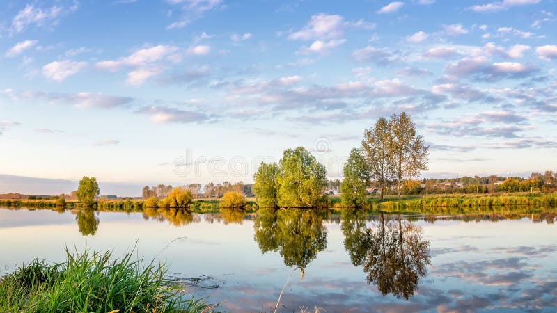 Paesaggio di estate sul fiume con la riflessione degli alberi in acqua, Russia, i Urals