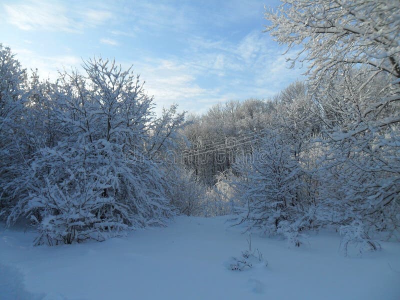 Paesaggio di inverno fotografie stock Paesaggio di inverno fotografie stock