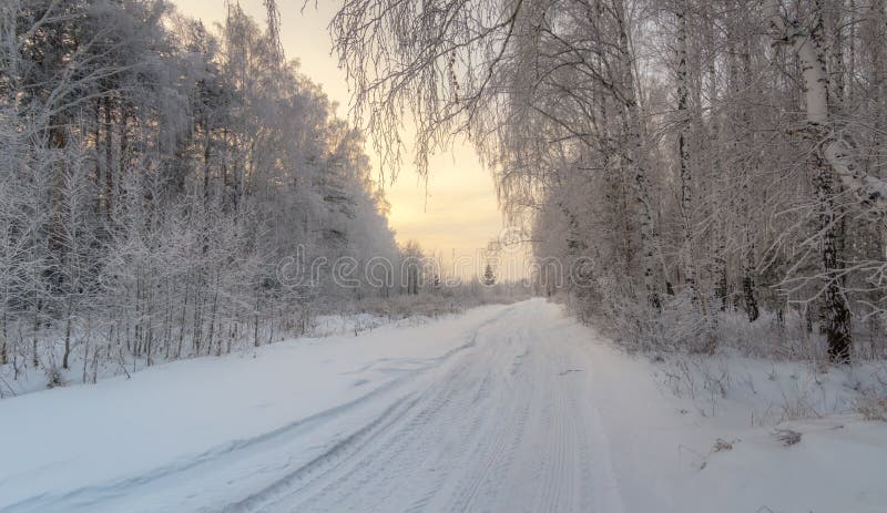 Paesaggio di inverno nella foresta con la strada al tramonto, Russia, Ural fotografia stock Paesaggio di inverno nella foresta con la strada al tramonto, Russia, Ural fotografia stock