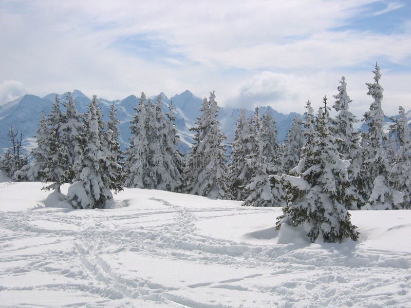 Paesaggio di inverno Snowy/dell'Austria fotografie stock libere da diritti Paesaggio di inverno Snowy/dell'Austria fotografie stock libere da diritti