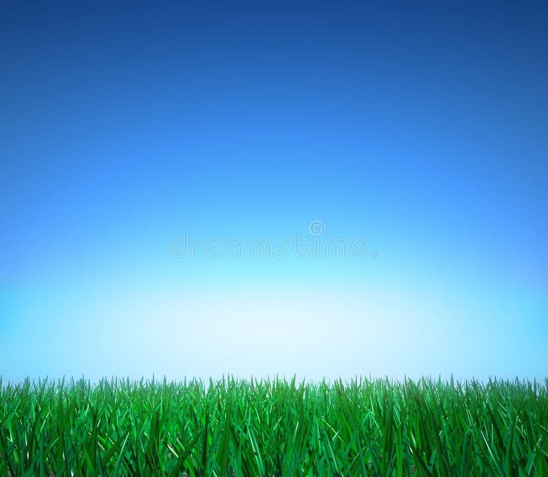 Paesaggio: erba verde, cielo blu libero