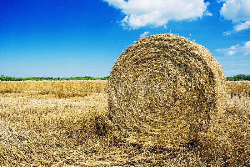 Paesaggio naturale Campo con la balla di fieno sotto il cielo blu immagini stock libere da diritti Paesaggio naturale Campo con la balla di fieno sotto il cielo blu immagini stock libere da diritti