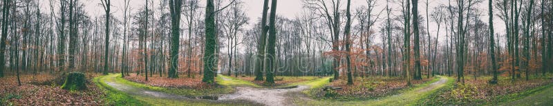 Paesaggio naturale, panorama - parcheggi con gli alberi ed i percorsi accanto ai palazzi di Falkenlust e di Augustusburg, città d immagine stock libera da diritti Paesaggio naturale, panorama - parcheggi con gli alberi ed i percorsi accanto ai palazzi di Falkenlust e di Augustusburg, città d immagine stock libera da diritti