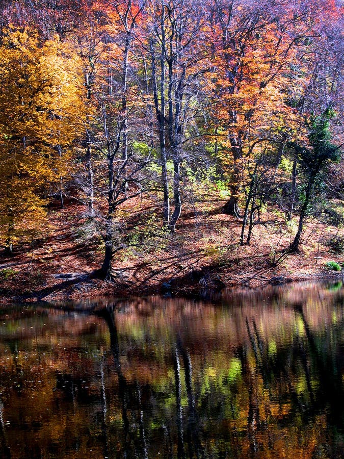 Paesaggio nebbioso variopinto di riflessione di autunno immagine stock