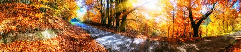 Paesaggio panoramico di autunno con la strada campestre nel tono arancio