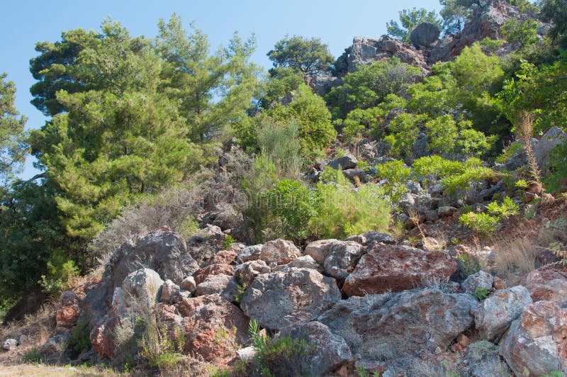 paesaggio Rocce della montagna e pini verdi il giorno soleggiato fotografie stock paesaggio Rocce della montagna e pini verdi il giorno soleggiato fotografie stock