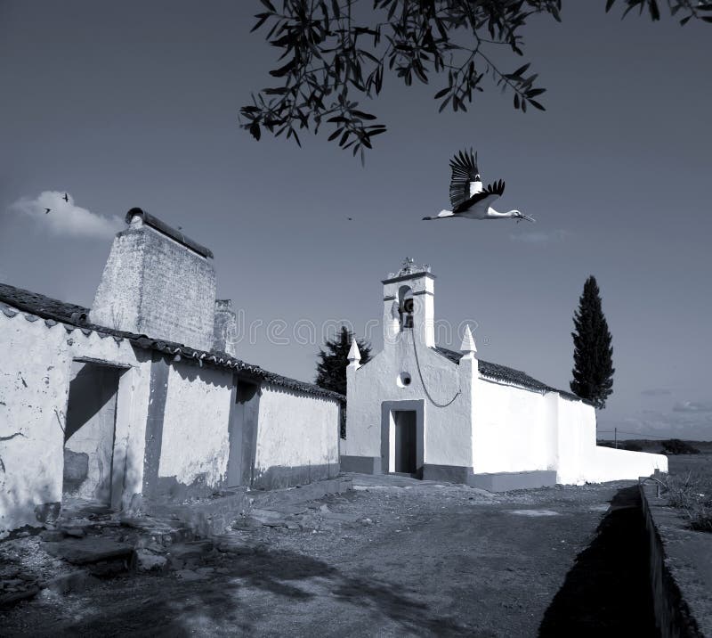 A relaxing rural scene with a stork in flight. A relaxing rural scene with a stork in flight.