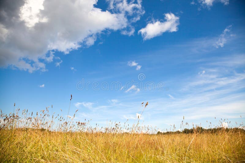 Paesaggio rurale con campo arido fotografie stock libere da diritti