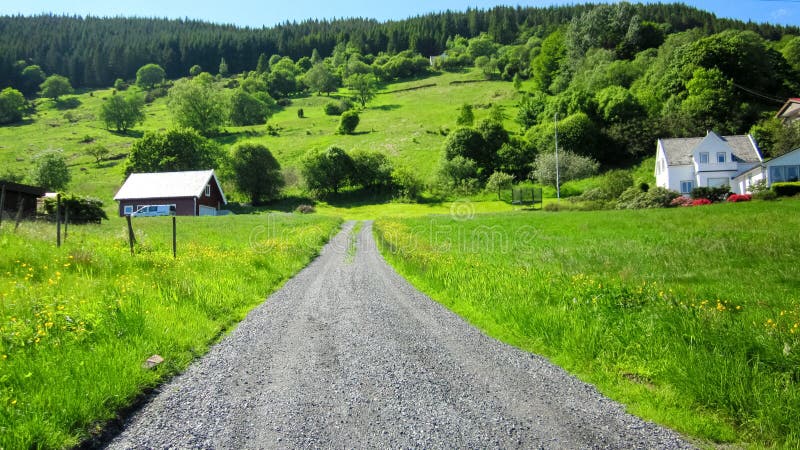 Paesaggio rurale con una strada principale nel prato verde immagini stock libere da diritti Paesaggio rurale con una strada principale nel prato verde immagini stock libere da diritti