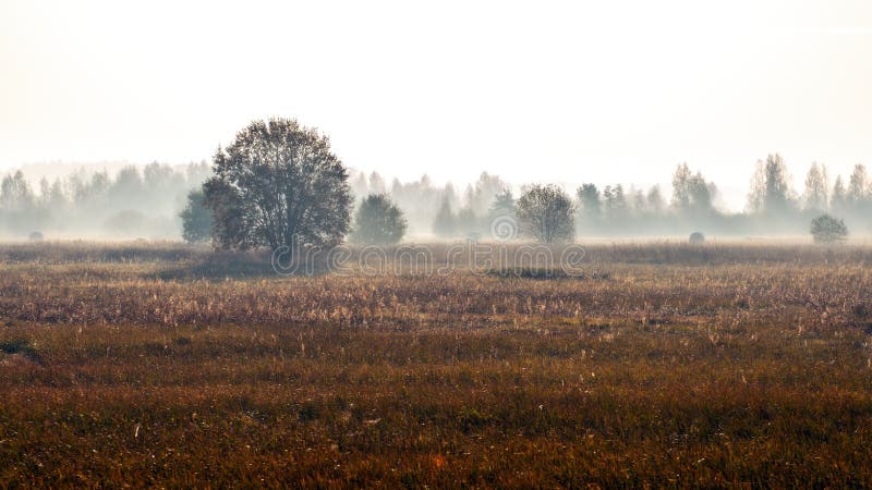Paesaggio rurale di autunno dell'estratto nella mattina nebbiosa fotografia stock libera da diritti Paesaggio rurale di autunno dell'estratto nella mattina nebbiosa fotografia stock libera da diritti