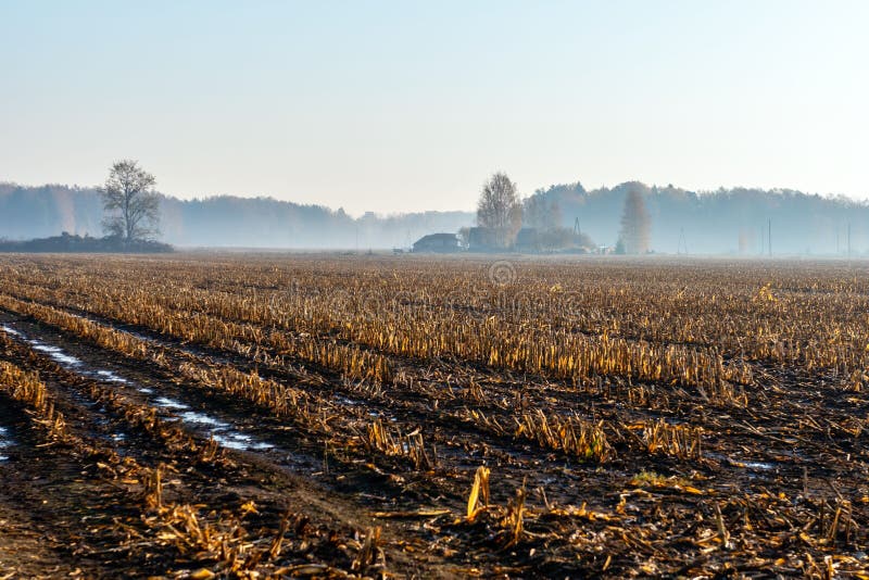 Paesaggio rurale di autunno dell'estratto nella mattina nebbiosa immagini stock libere da diritti Paesaggio rurale di autunno dell'estratto nella mattina nebbiosa immagini stock libere da diritti