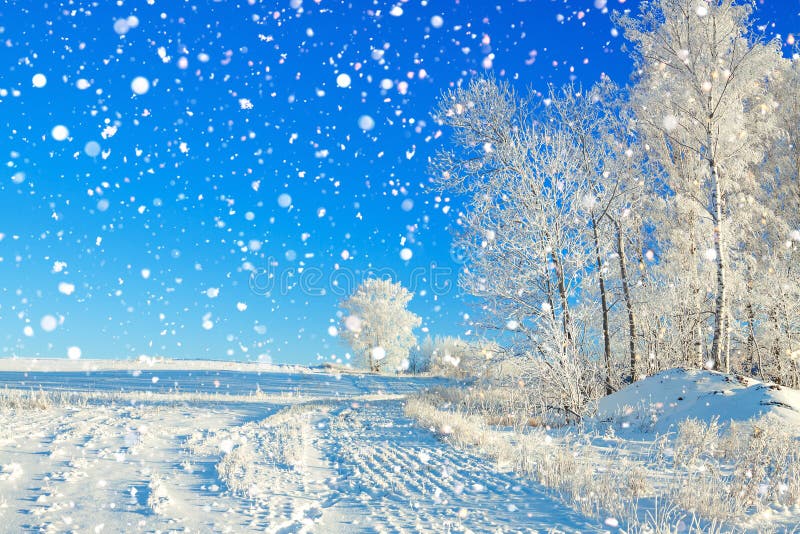Paesaggio rurale a di inverno con il cielo blu, un campo e la parte anteriore
