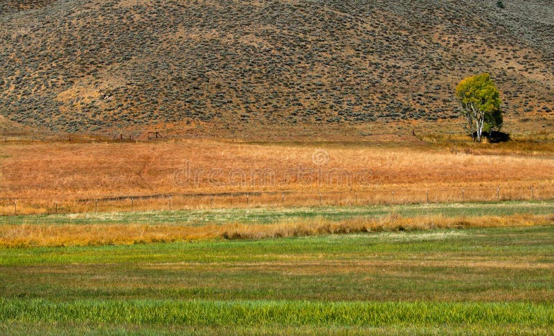 Paesaggio scenico dell'azienda agricola immagini stock libere da diritti Paesaggio scenico dell'azienda agricola immagini stock libere da diritti