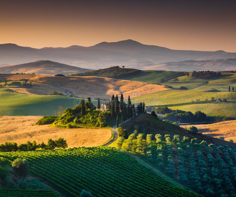 Paesaggio scenico della Toscana ad alba, dOrcia di Val, Italia