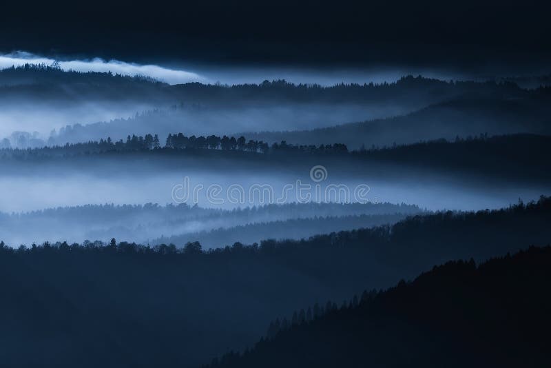 Paesaggio scuro con gli alberi nebbiosi fotografie stock libere da diritti Paesaggio scuro con gli alberi nebbiosi fotografie stock libere da diritti