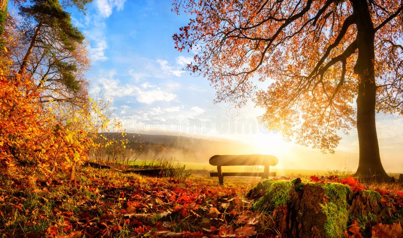 Paesaggio splendido di autunno immagini stock libere da diritti Paesaggio splendido di autunno immagini stock libere da diritti