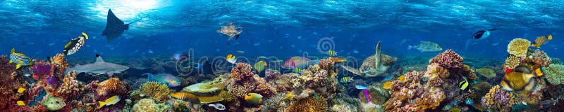 Paesaggio subacqueo della barriera corallina