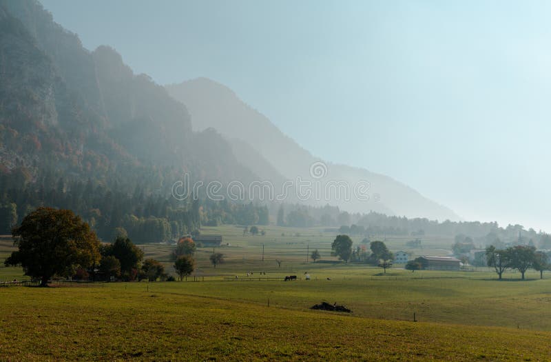Paesaggio svizzero rurale della campagna con i campi dell'azienda agricola e le montagne nebbiose e foresta in autunno tardo fotografie stock Paesaggio svizzero rurale della campagna con i campi dell'azienda agricola e le montagne nebbiose e foresta in autunno tardo fotografie stock