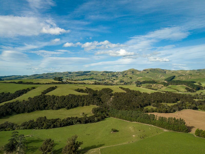 Paesaggio, terreni coltivabili e colline tipici della Nuova Zelanda immagini stock libere da diritti Paesaggio, terreni coltivabili e colline tipici della Nuova Zelanda immagini stock libere da diritti