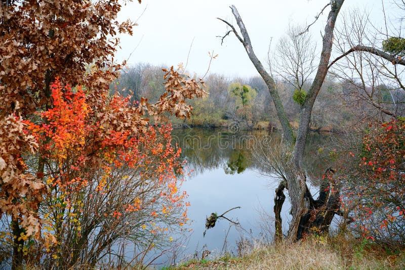 Paesaggio variopinto di autunno dal fiume
