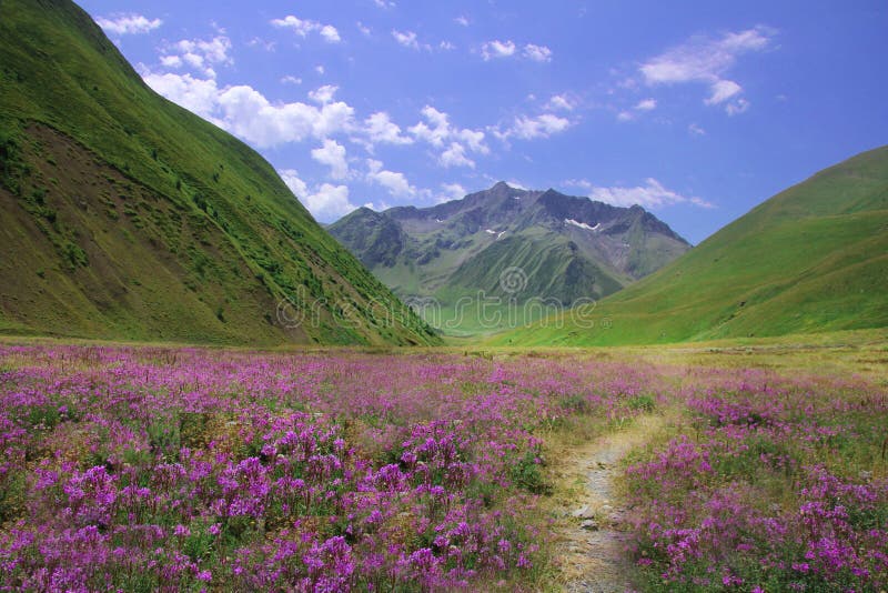 Paesaggio variopinto in Georgia immagine stock Paesaggio variopinto in Georgia immagine stock