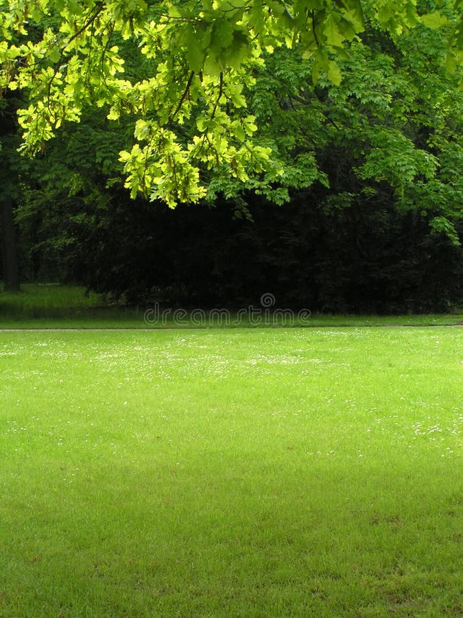 Paesaggio verde 2 immagini stock