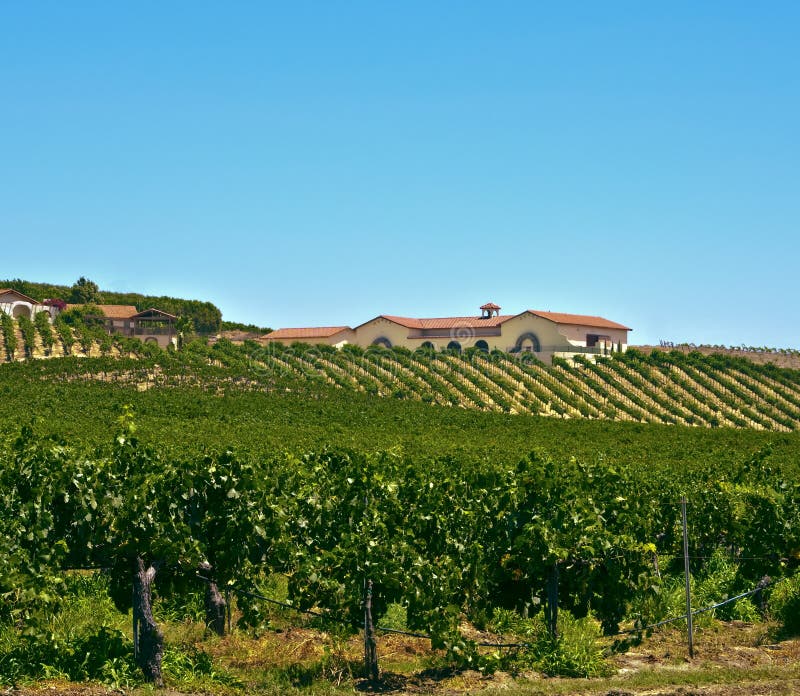 Paese di vino, California del sud fotografie stock libere da diritti Paese di vino, California del sud fotografie stock libere da diritti