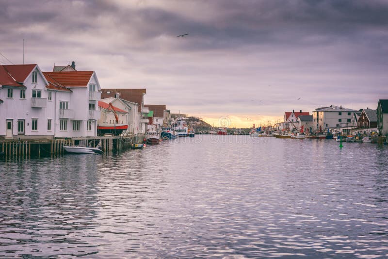 Paesino di pescatori Henningsvaer nelle isole di Lofoten, Norvegia del Nord nella stagione di skrei del merluzzo fotografie stock Paesino di pescatori Henningsvaer nelle isole di Lofoten, Norvegia del Nord nella stagione di skrei del merluzzo fotografie stock