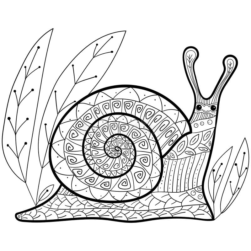 illustration stock page adulte de livre de coloriage d escargot mignon image