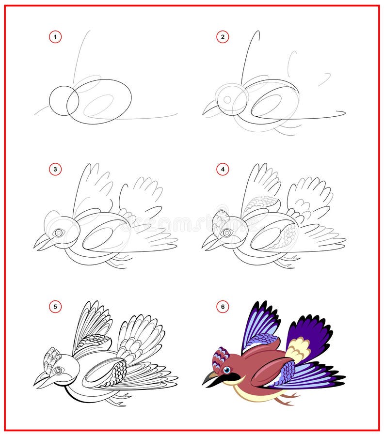 Page Shows How To Learn To Draw Step by Step Cute Flying Bird Jay.  Developing Children Skills for Drawing and Coloring Stock Vector -  Illustration of bird, outline: 182286345