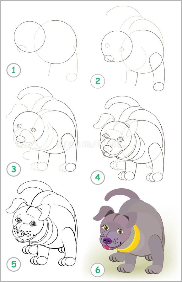 Page shows how to learn step by step to draw a cute little puppy. Developing children skills for drawing and coloring. royalty free illustration Page shows how to learn step by step to draw a cute little puppy. Developing children skills for drawing and coloring. royalty free illustration