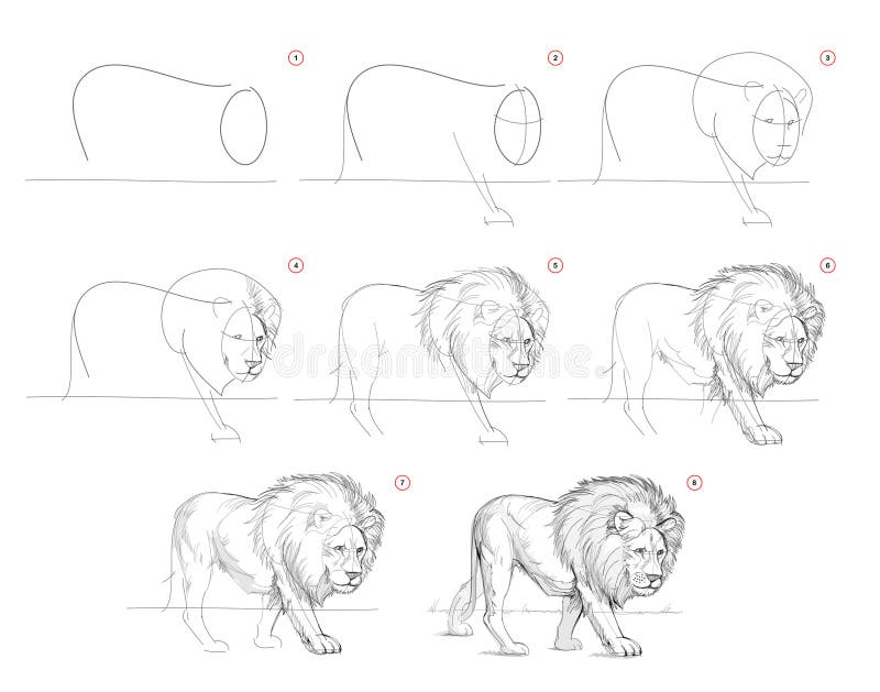 Page Shows How To Learn To Draw from Life Sketch a Standing Lion ...