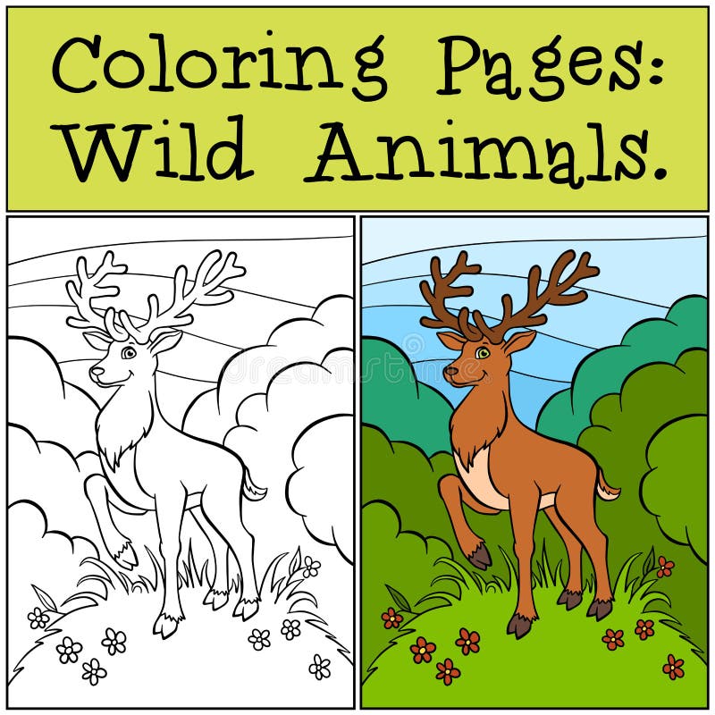 Pages de coloration : Animaux sauvages Cerfs communs mignons illustration de vecteur