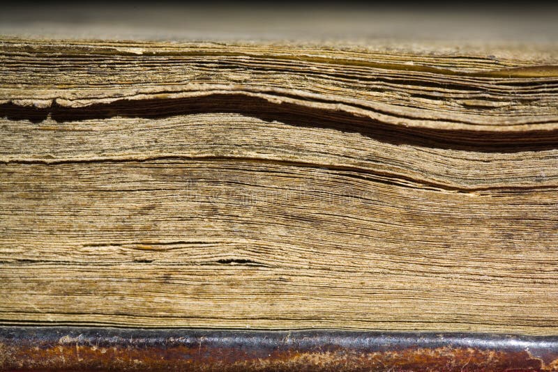 Pages in old book