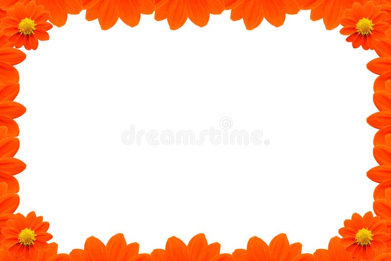 Pagina arancio del fiore su fondo bianco royalty illustrazione gratis Pagina arancio del fiore su fondo bianco royalty illustrazione gratis