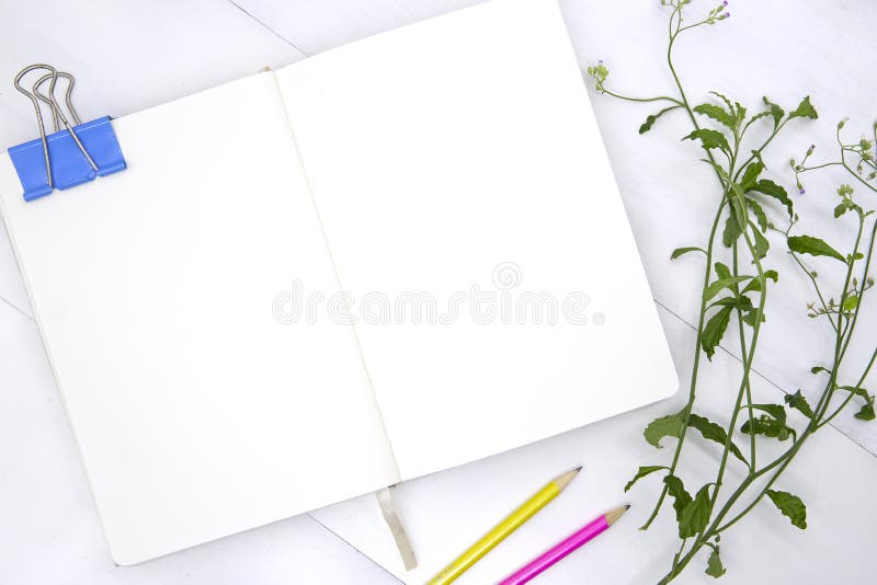 Pagina in bianco dello Sketchbook con la foglia e la matita verdi Foto aperta di vista superiore del taccuino su fondo bianco immagini stock Pagina in bianco dello Sketchbook con la foglia e la matita verdi Foto aperta di vista superiore del taccuino su fondo bianco immagini stock