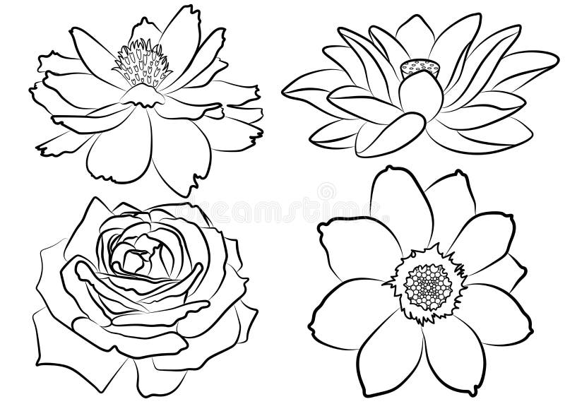 Pagina floreale di coloritura illustrazione vettoriale Pagina floreale di coloritura illustrazione vettoriale