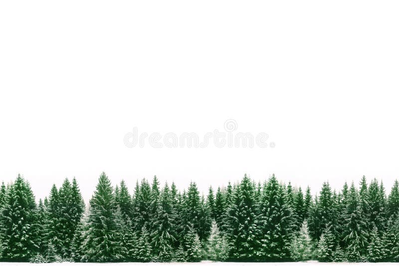 Pagina il confine della foresta attillata verde dei pini coperta da neve fresca durante il tempo di Natale dell'inverno immagine stock libera da diritti