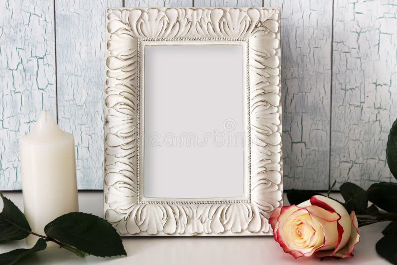 Pagina il modello con il posto vuoto per testo o l'immagine fotografia stock libera da diritti Pagina il modello con il posto vuoto per testo o l'immagine fotografia stock libera da diritti