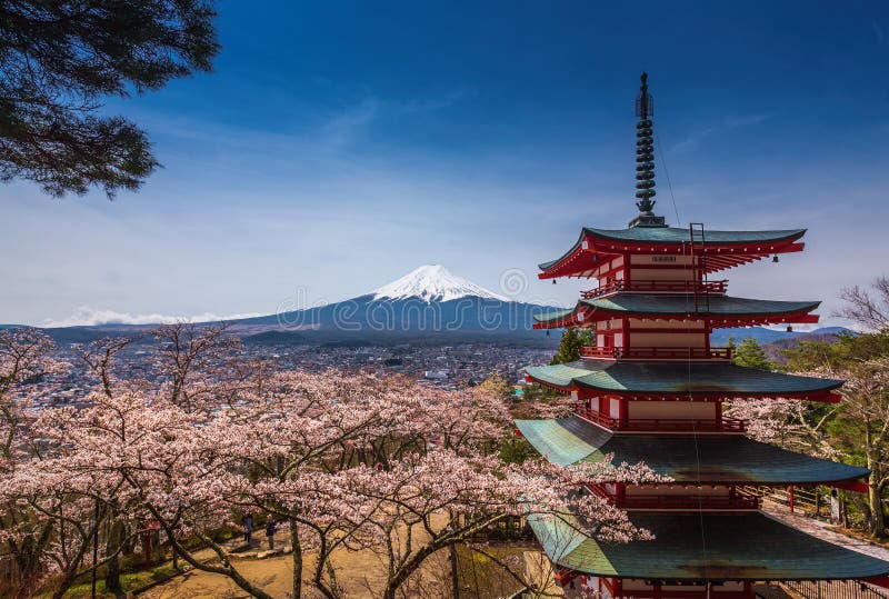 Pagoda de Chureito avec Sakura et beau Mt Vue de Mt image libre de droits Pagoda de Chureito avec Sakura et beau Mt Vue de Mt image libre de droits