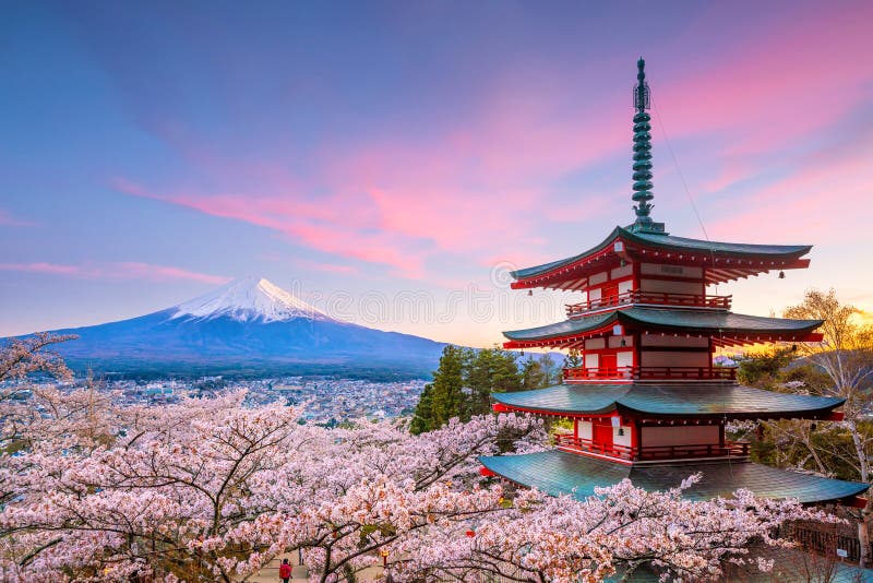 Pagoda rossa della montagna Fuji e di Chureito con il fiore di ciliegia sakura