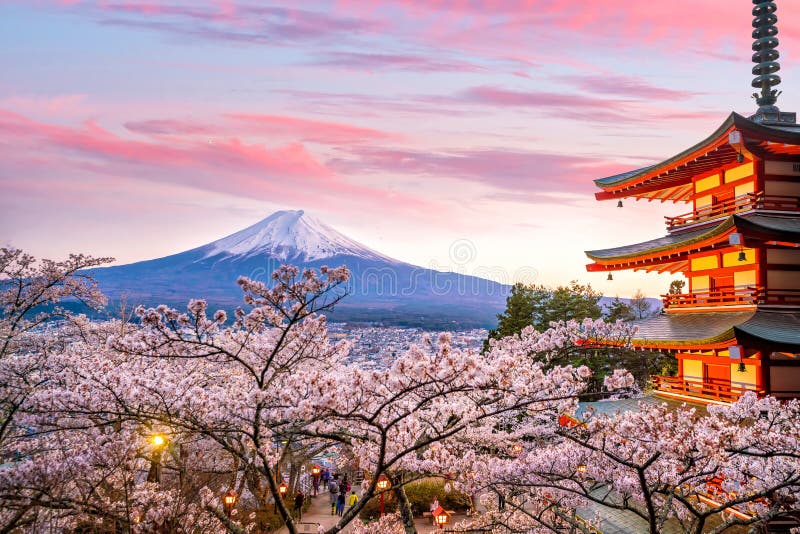 Pagoda rossa della montagna Fuji e di Chureito con il fiore di ciliegia sakura