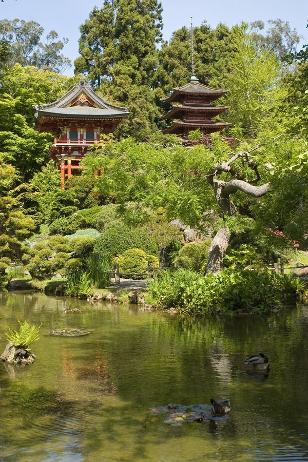 The Buddhist pagoda or treasure tower, The Japanese Tea Garden in Golden Gate Park is the type of Japanese garden known as a wet walking garden, although it has a Zen garden, or dry garden area as well. Golden Gate Park's Japanese Tea Garden is the oldest public Japanese garden in the United States. The Buddhist pagoda or treasure tower, The Japanese Tea Garden in Golden Gate Park is the type of Japanese garden known as a wet walking garden, although it has a Zen garden, or dry garden area as well. Golden Gate Park's Japanese Tea Garden is the oldest public Japanese garden in the United States.