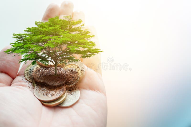 Pague la donación del dinero el ambiente verde del ahorro del eco y la ecología de la tierra sostenible