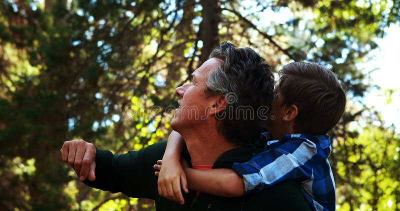 Pai e filho que olham a natureza no parque