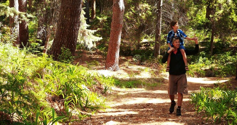 Pai e filho que olham a natureza no parque