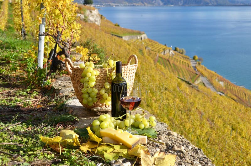 Paia dei bicchieri di vino fotografie stock