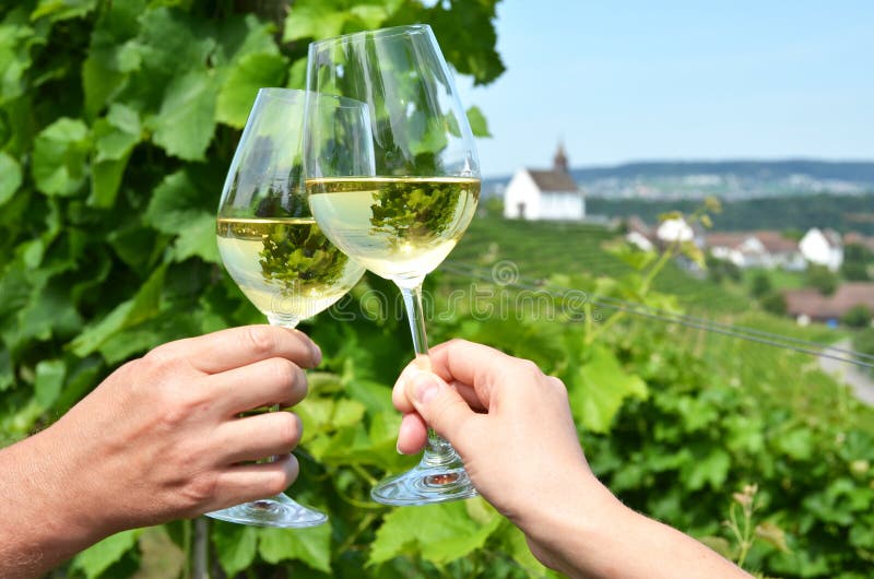 Paia dei bicchieri di vino fotografia stock libera da diritti