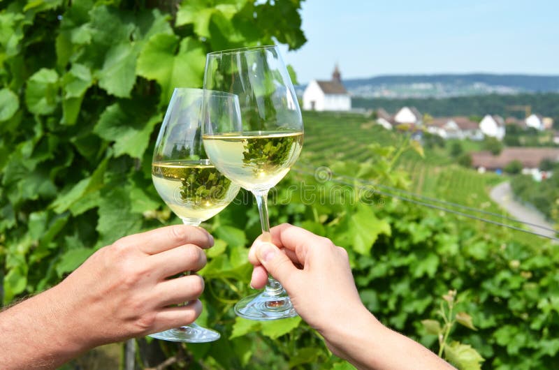 Paia dei bicchieri di vino contro le vigne fotografia stock libera da diritti